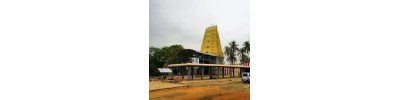 நெடுங்குடி